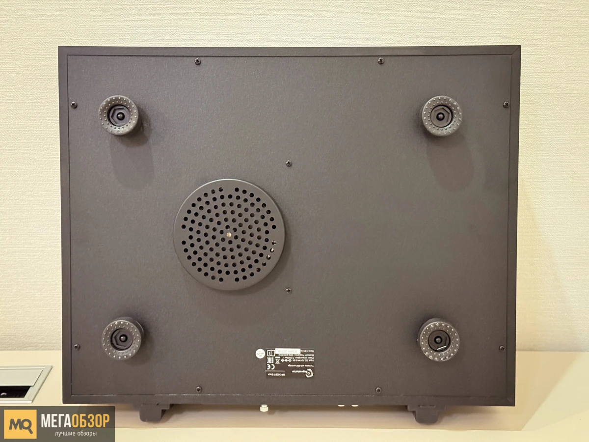 внешний вид Reproductor RP-300BT