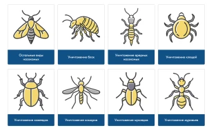 Полное руководство по дезинфекции: виды, методы обработки, выбор дезинфицирующих средств для помещений и оборудования