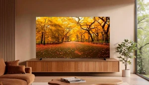 Телевизоры TCL C8L оценили от 115 тысяч рублей 