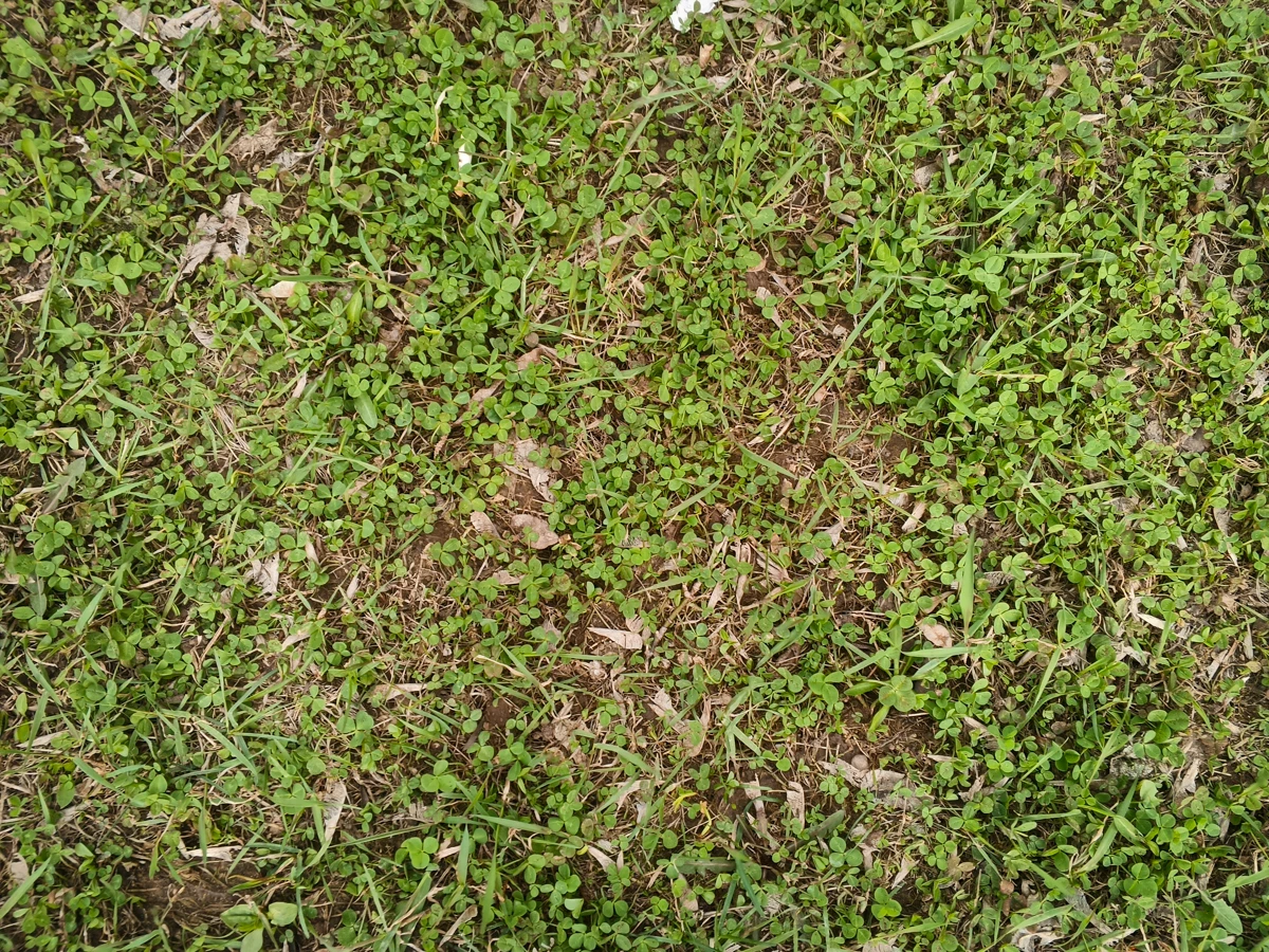 камеры Tecno Spark Slim