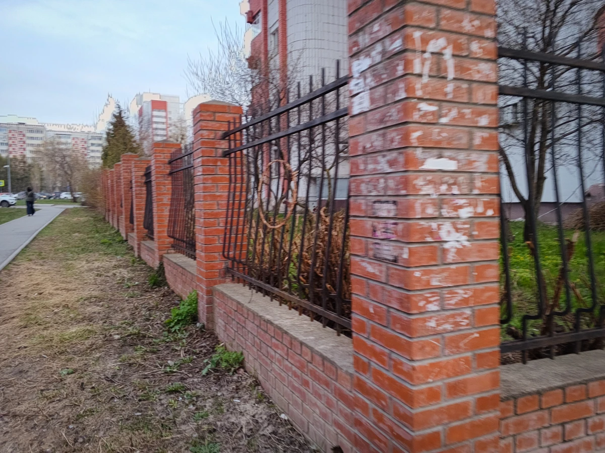 камеры Tecno Spark Slim