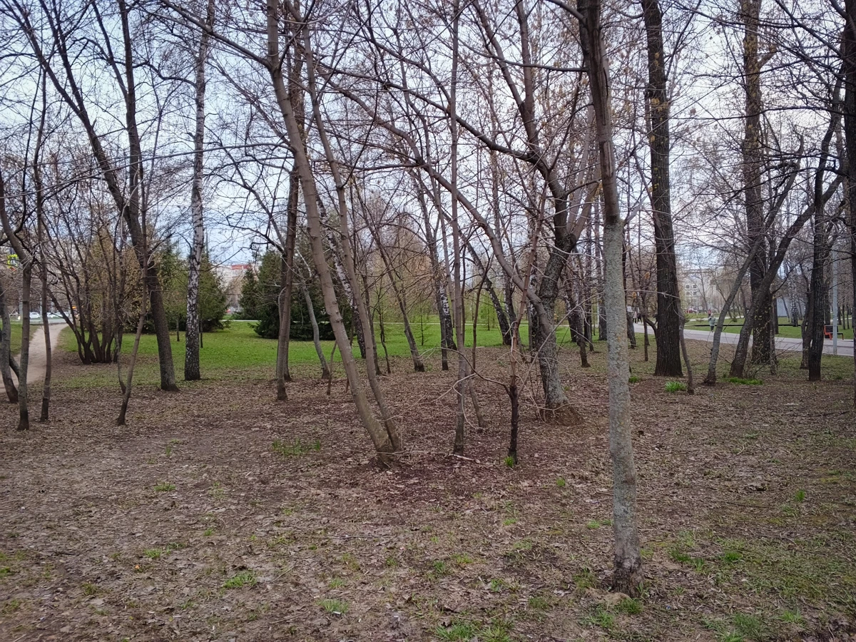 камеры Tecno Spark Slim