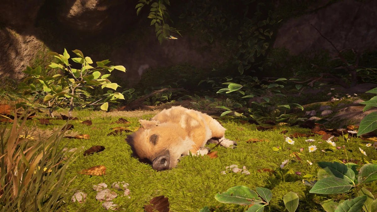 Обзор игры Adorable Adventures