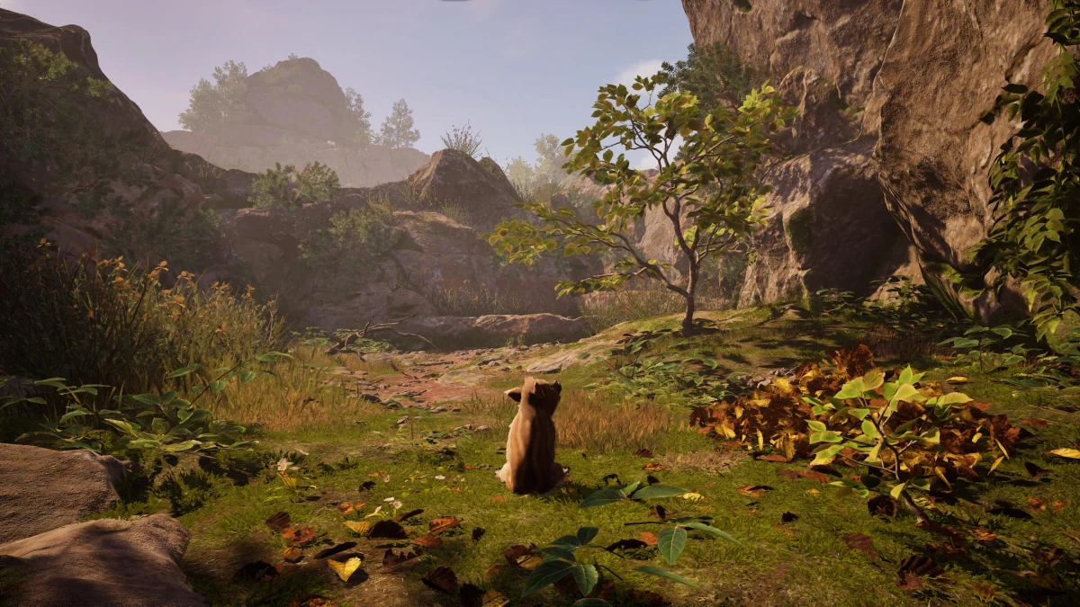 Обзор игры Adorable Adventures