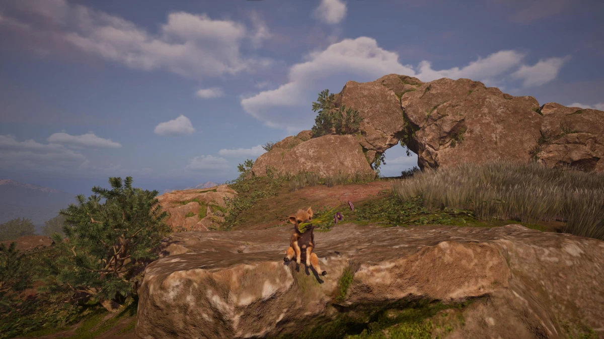 Обзор игры Adorable Adventures