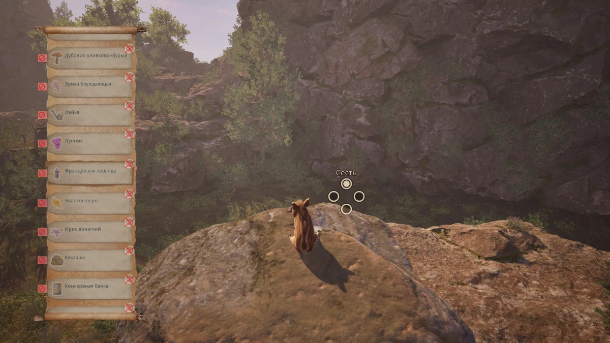 Обзор игры Adorable Adventures