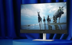 Мониторы Dell скоро подорожают на 5%