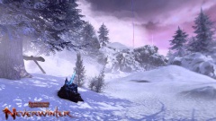 «Проклятье Долины Ледяного ветра» углубит PVP в Neverwinter Online