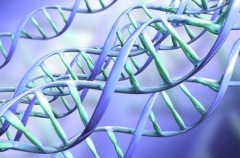 Диету по ДНК-коду, разработали ученые