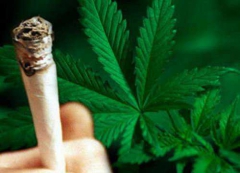Употребление марихуаны вызывает паранойю, доказали ученые
