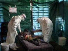 Число жертв вируса Эбола достигло 932 человек