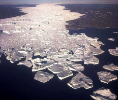 Ученый обозначили дату начала таяния ледников