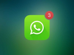 WhatsApp – это 600 млн. активных пользователей ежемесячно