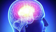Ученые нашли новый способ улучшения памяти