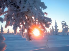 22 декабря – день зимнего солнцестояния