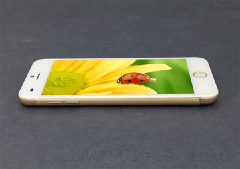Смартфон Bird L9 - новый клон iPhone 6 