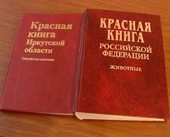 Красную книгу РФ обновят в 2015 году