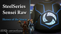 Обзор и тесты SteelSeries Sensei Raw Heroes of the Storm. Раздача 100 ключей на ЗБТ