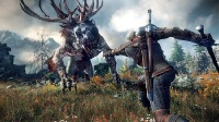 The Witcher 3: Wild Hunt можно получить бесплатно 