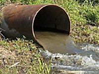 Средства защиты растений загрязняют водоемы