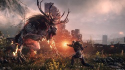 The Witcher 3: Wild Hunt без защиты 