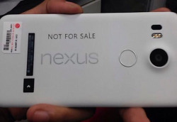 Смартфона LG Nexus засветился в сети