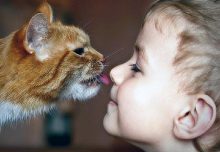 Домашние животные снизят вероятность развития астмы у детей