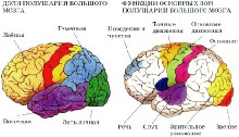 Систему, оценивающую других людей обнаружили ученые в мозге человека