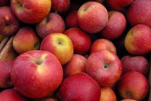 Яблоки – самый популярный детский фрукт