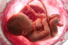 В США разрешат эксперименты по зачатию детей от трех родителей
