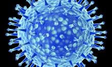 Российские ученые создали первую научную 3D-модель вируса Зика