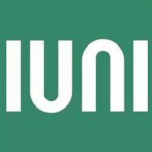 IUNI планирует выпустить смартфон с очень крупным дисплеем