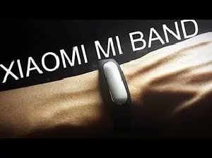 Рост Xiaomi  почти остановился 