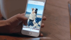 Компания Google превратит Live Photos на iPhone в анимированные Gif